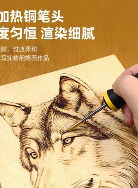 专业可调温烙画机烙板画工具葫芦木烫机BYL器烙画速热画电热笔笔