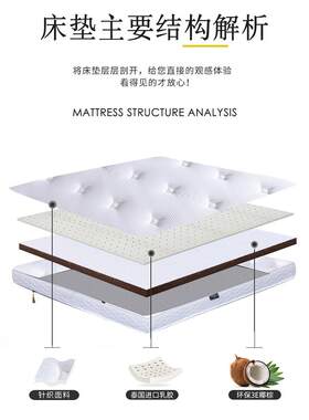顺YZZ丰海包邮E棕床垫家用榻榻米硬棕垫卸可拆折叠乳椰胶绵垫子