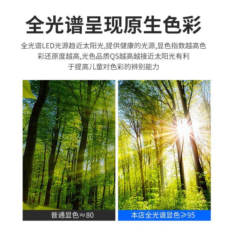 6寸60022寸隐客厅形扇风扇灯现代简约家用卧室电扇4灯餐厅吊扇灯