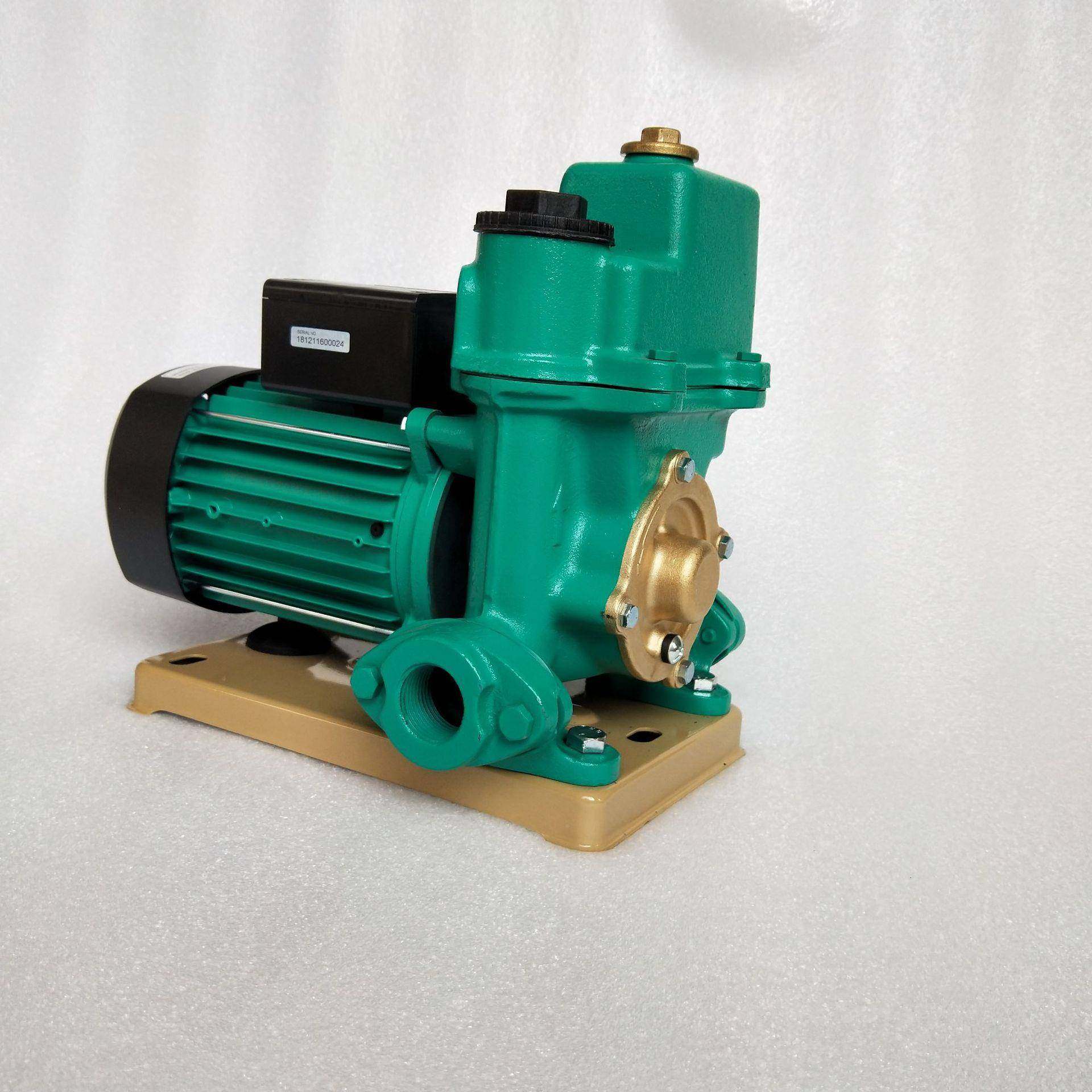 威4乐自吸增压泵家用农村地下水井水抽水水塔供PW水625-1708/8/20