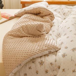 A豆豆绒冬被大豆纤维被棉被被褥加厚保暖幼儿子类盖毯春童秋hly06