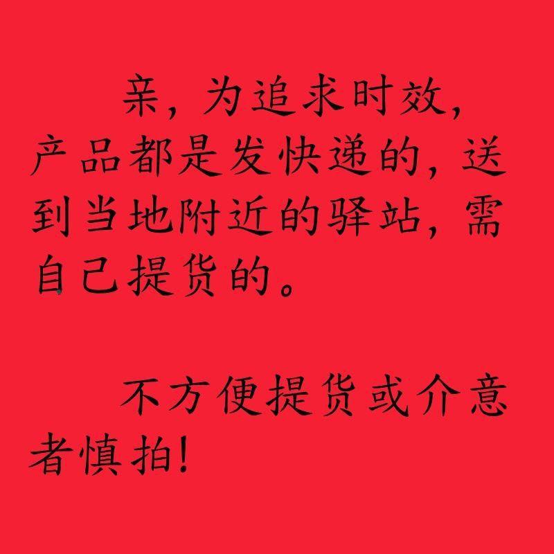 成企鹅摇椅懒人沙人发大躺椅牛单人人客厅蜗019阳台家用休闲卧室
