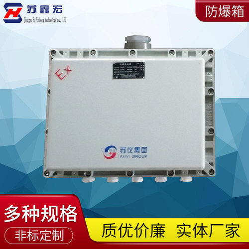 配电箱接线箱控制箱 成套不锈钢电源仪表照明控制箱 动力仪表箱