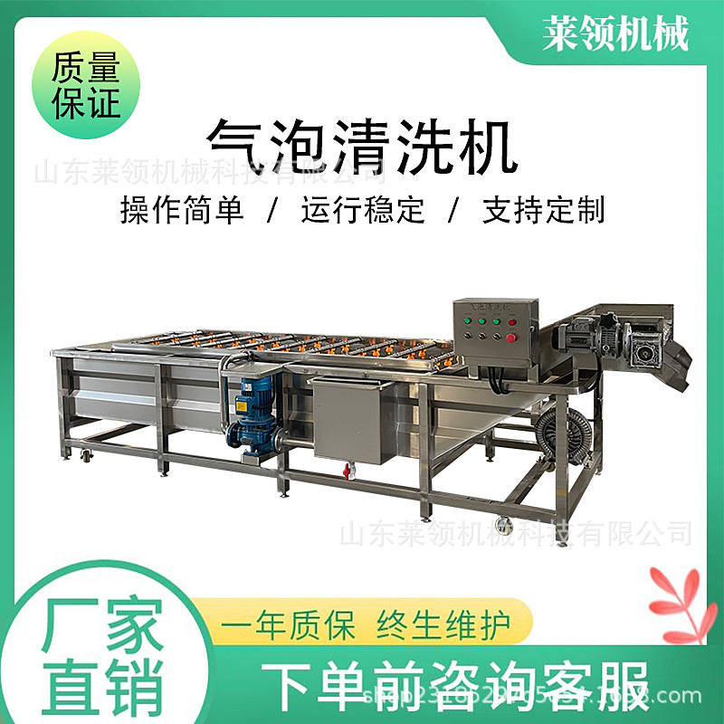酱菜清洗成套设备鼓泡式蔬菜清洗设备杨桃水蜜桃杨梅蓝莓清洗机器