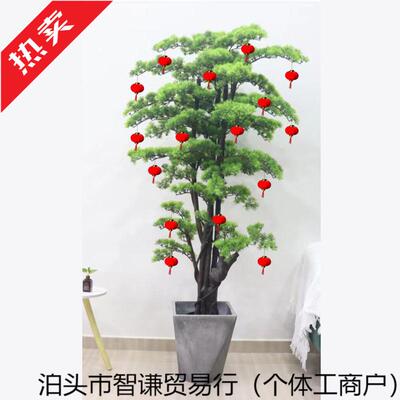 植物ltao1026盆栽迎客客厅玄摆件松大绿植室关内装饰假树花景幸福