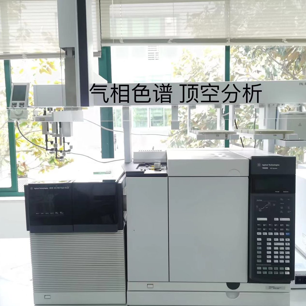 Ma人  Le 愚t