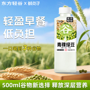 蔬果计划鲜点子甄选青稞绿豆藜麦粗粮汁谷物饮料500ml官方旗舰店