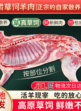 甘肃羊肉新鲜现杀10斤羊排羊腿