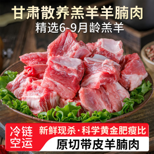 羊腩肉新鲜羊肉现杀现宰正宗甘肃散养草饲羊羔肉去皮羊肚腩羊腹肉