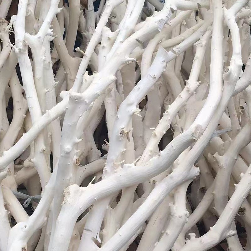 干树枝原木杈干枝枯树干鸟架造型壁挂造景摆件衣架吊顶树枝装饰