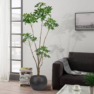 源厂家头虹仿真绿植鸭木假树仿脚真植海物室内装A款鸭脚饰摆件