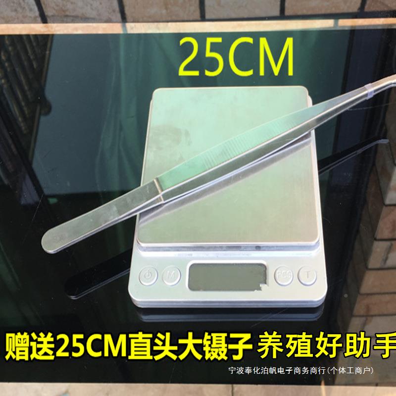 蝎子灯养蝎殖紫光手光紫光蝎子米电筒子用豆虫强充电手提000照明