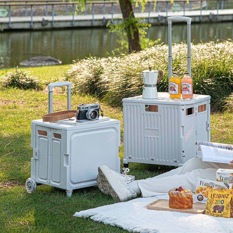 书装箱收纳学生用教室书整理2779-278收纳盒带箱轮本拉杆可折叠透,收纳整理,收纳箱,淘宝优惠券,粉丝福利购,淘宝优惠卷