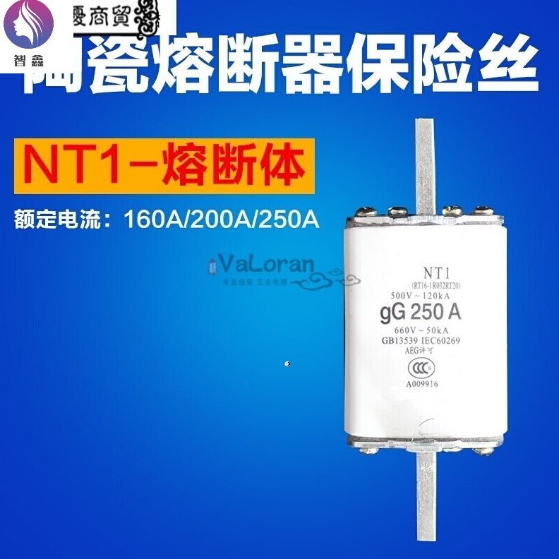 *熔断器 RT 250TRT32A16-芯1保险管 25020A0R200陶瓷0  A熔A116N