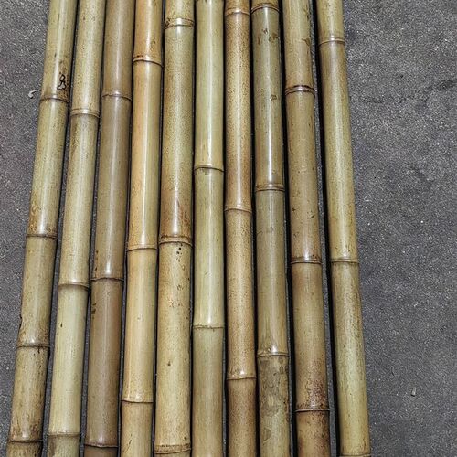 广西高山石竹箫料,己烤直q材料!长度60至85公分左右内径1.4至2.2