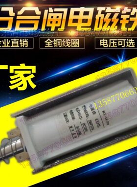 欧V220 751373033ZF分合闸F 6线圈合- 电磁铁67欧Z0分246A1DCA298