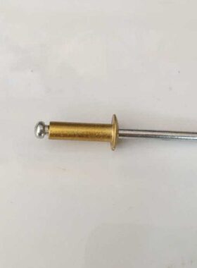 55   5黄 x1彩色 黄色香槟42x1x113抽芯铆钉*2x1金3 4 铆钉3