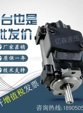 /1n/3叶片泵C00iA1/18012T16尼逊s/B10607B00-丹on-R/147W/DeM0-5