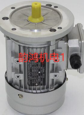 YS7112/YS7122/YS7132立式B5三相异步电动机/微型电机380V 2800转