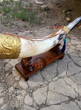 蒙古族酒杯牛角杯天然黄牛v角结盟杯舞台客厅工艺品装饰品道具摆