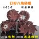 4寸 层抛光 单 雕刻八角耐磨 毛打磨木工5寸双层刺 缝隙 砂纸