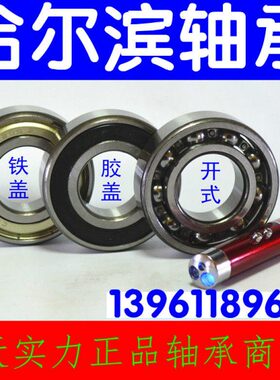 16 Z  21 2102146221221 26596哈尔滨轴承6621R20 216 6Z  6 3