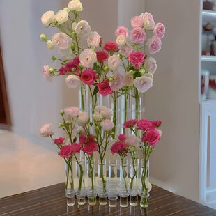 玫瑰水轻奢花瓶创意客厅摆件网红水养器插花皿排培鲜花玻璃试管一