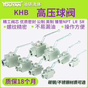 0R3 110H高压4115L 18T31522 G3N BG1R 球阀 P12