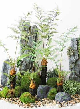仿真QPJ假树生猴头蕨室内植景物仿植金丝蕨庭院软装造设绿计装饰