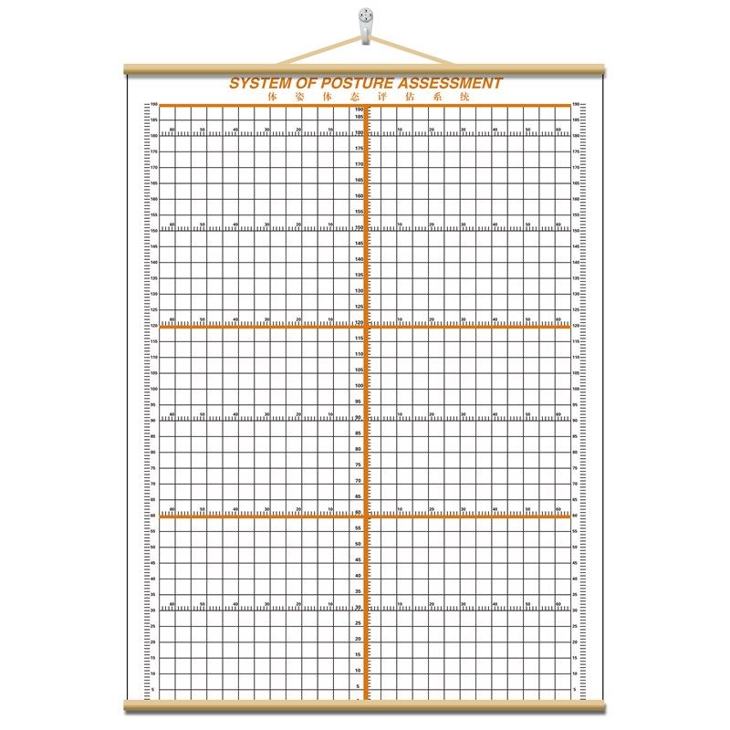 体态评估表挂式贴式体测健身房瑜伽馆私教身高臂展网格身体对比图