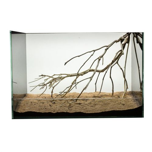 鱼缸造景树枝溪流原生沉木枝条鹿角枝鱼缸造景木南美缸造景60cm缸