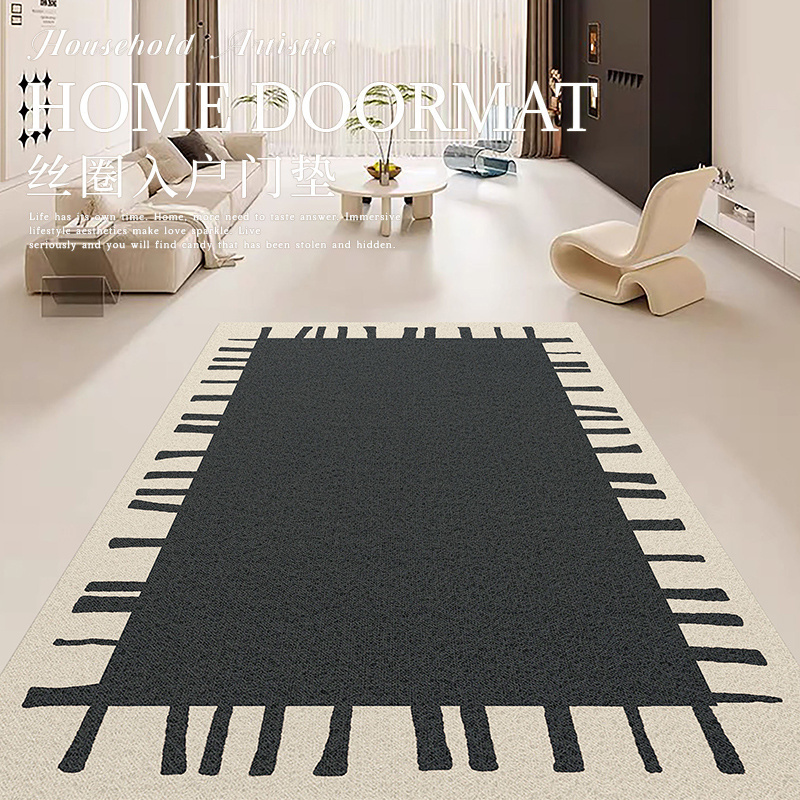 入户门丝圈地垫大门口家用防滑脚垫门垫进门门内外蹭土可裁剪定制