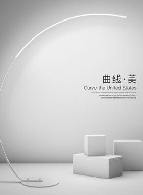 s网红落地客厅简约弧形北灯房间装饰品灯布625置欧落地极简氛围in