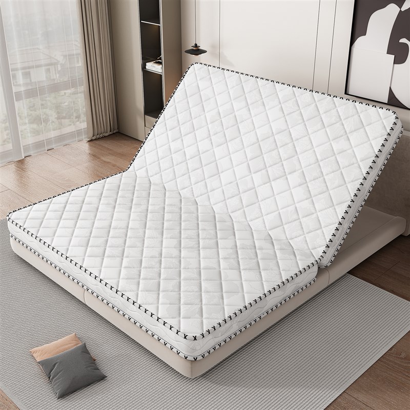 椰棕床垫硬垫子护腰护脊硬质薄床垫5Dcm厚天然棕垫家用10厘米床垫