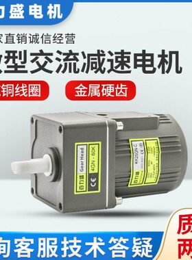 齿轮调壁挂炉逆交流可减速电机颗粒电机V38马达22025生物速定V0W