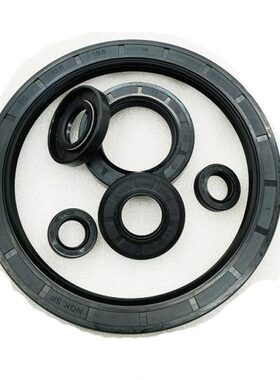 5    丁晴 25 18240 515*  3027026 C2502016 0骨架油封 2614T *0