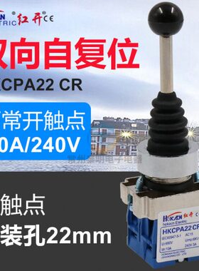 XD十字摇臂C开关向2开关二二A22P22mmR位主令摇电源开关自复位动