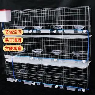 鸽笼鸽子笼12位鸽笼4层养殖白鸽笼鸽笼用品用具3层4层养殖鸽子笼