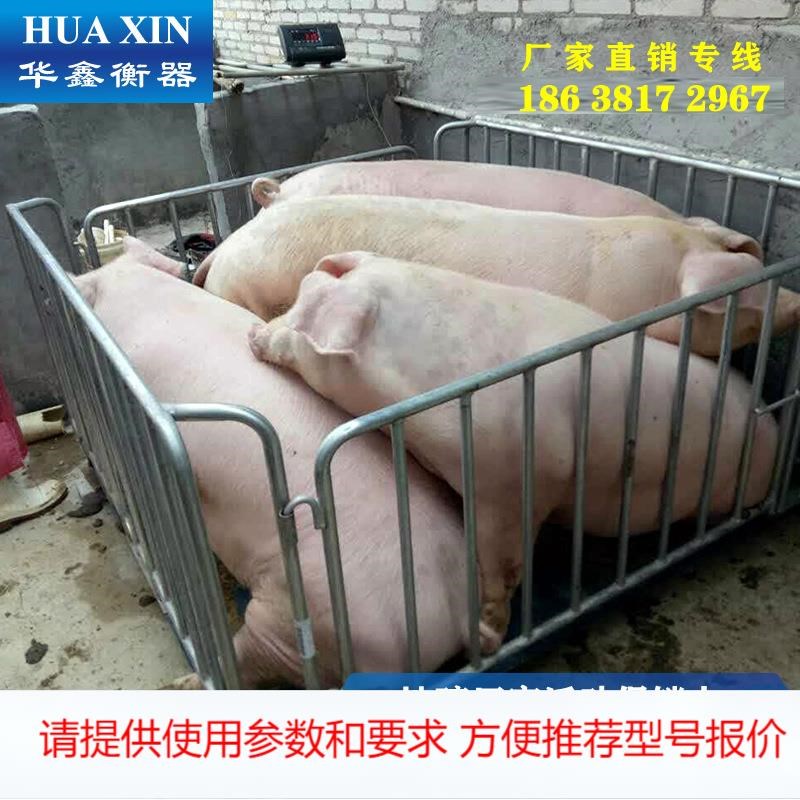 智能电子秤 上海耀华小地磅 1xt秤猪牛畜牧称3吨围栏防抖 全国保