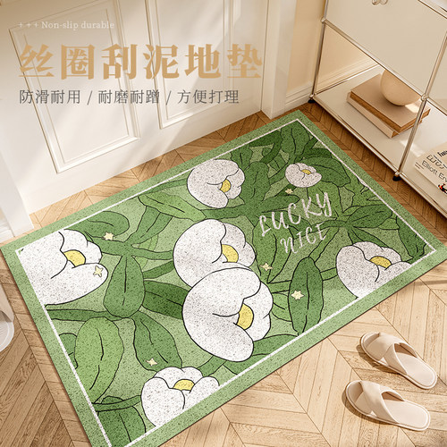 小清新入户地f垫进门门口防滑踩脚垫家用室内玄关蹭土耐脏丝圈门