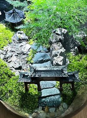 办BCTL-01公盆栽玻璃瓶造景态苔面藓微室景观生瓶养鱼创意缸植物