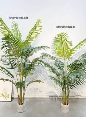 仿真凤尾葵全机植做绿盆栽尾葵家居LL-11装落地盆散栽饰凤尾葵现