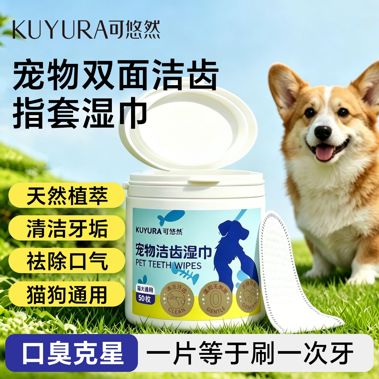 宠物洁牙清洁牙齿指套狗狗结石除口臭猫咪口腔去洗牙湿巾刷牙用品