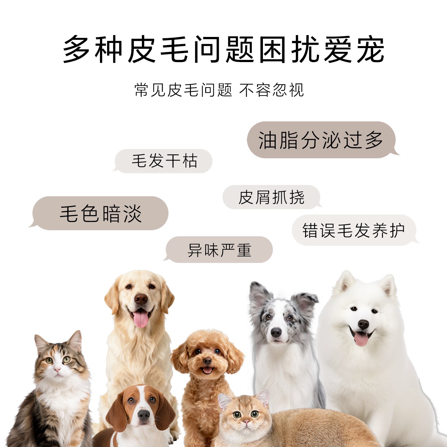 可悠然宠物护毛素成幼犬柔润亮泽