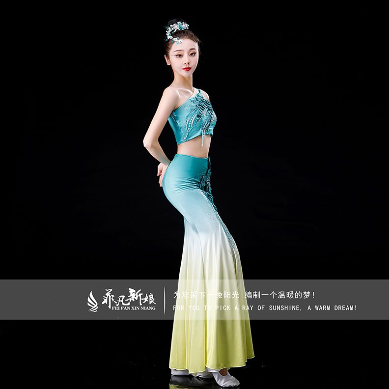 成人女西鱼尾裙表演服傣族舞蹈演出服云南双修身服装裙子傣族版纳