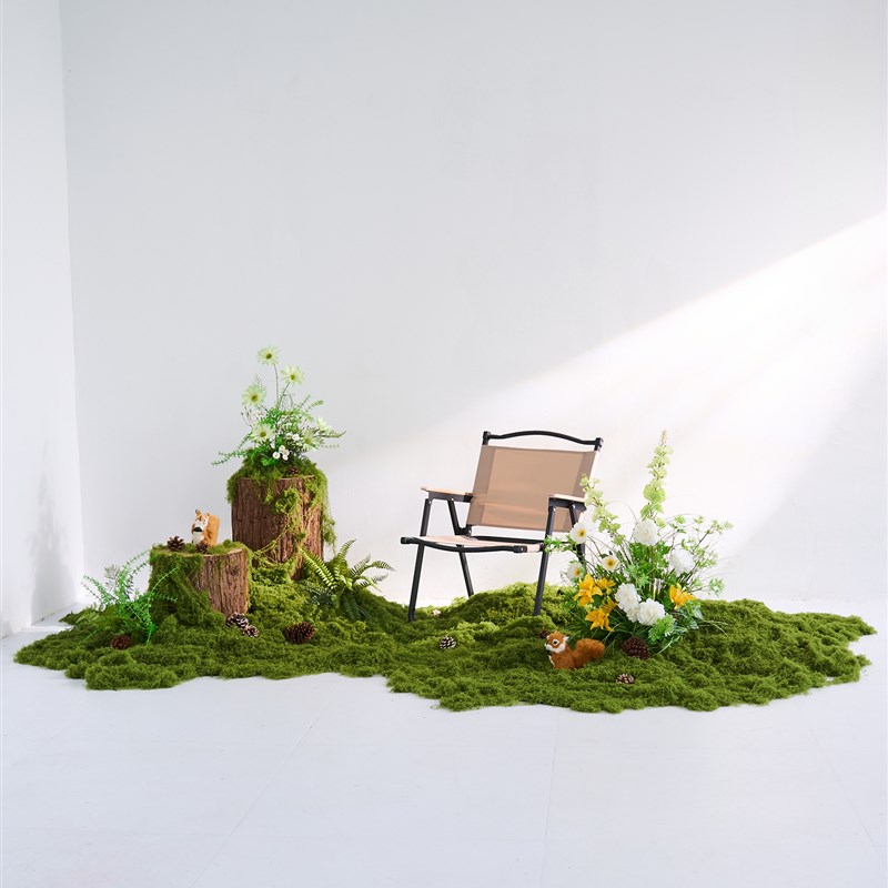 草坪模拟苔藓装i饰彷生假苔藓微景观布置摆件室内室外庭院草坪景