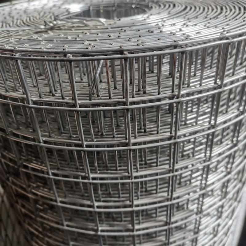 铁丝网网鸭围网镀锌网圈格围栏铁网加粗养殖鹅动物菜园养鸡钢丝网