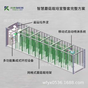 20ft40ft集装 箱菌菇种植箱平菇专用自动控制植物方仓