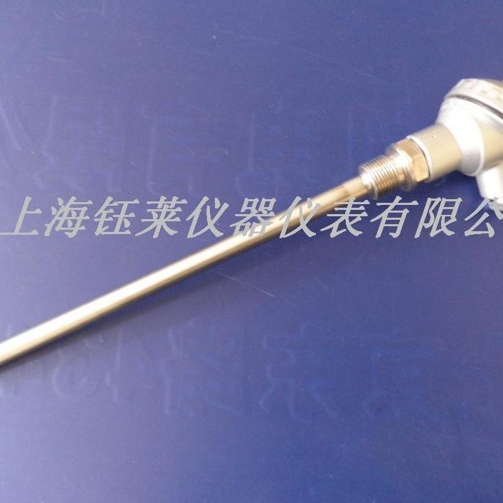 1电阻 T-Z=温度传感器铂仿22W日式探头0mm0热电阻 P30PL10