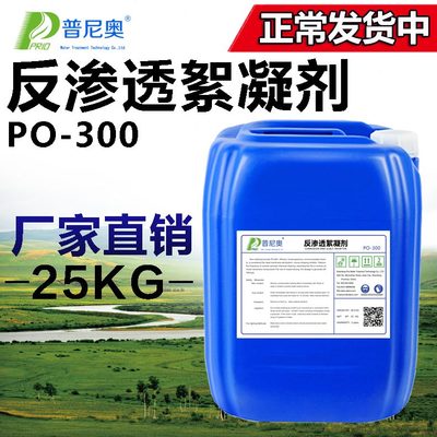 絮凝剂处理设备反渗透RO膜纯净水絮凝剂专用  专用 污水剂絮凝剂